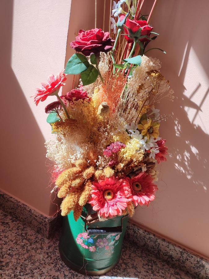 Escalona Apartamentos Casa Modesto מראה חיצוני תמונה
